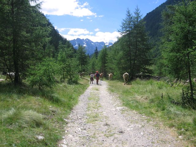 Ponte di Legno 1