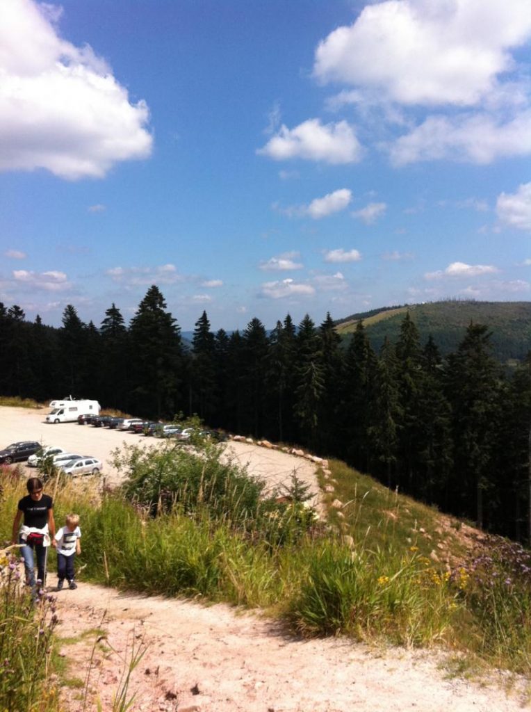 foresta nera