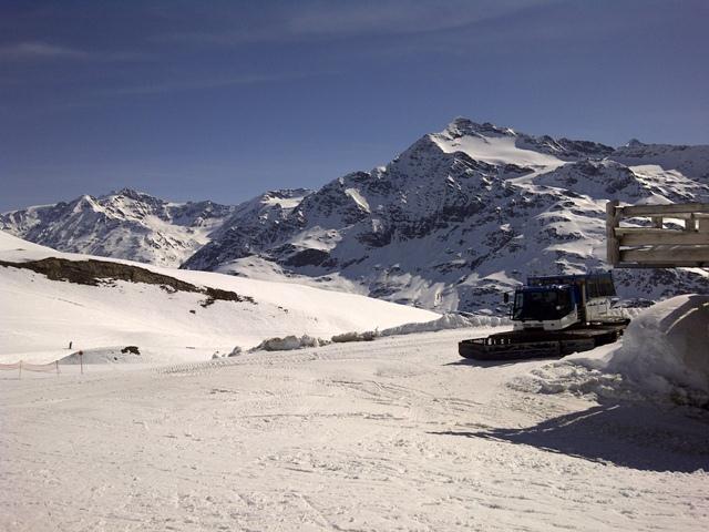 Valfurva