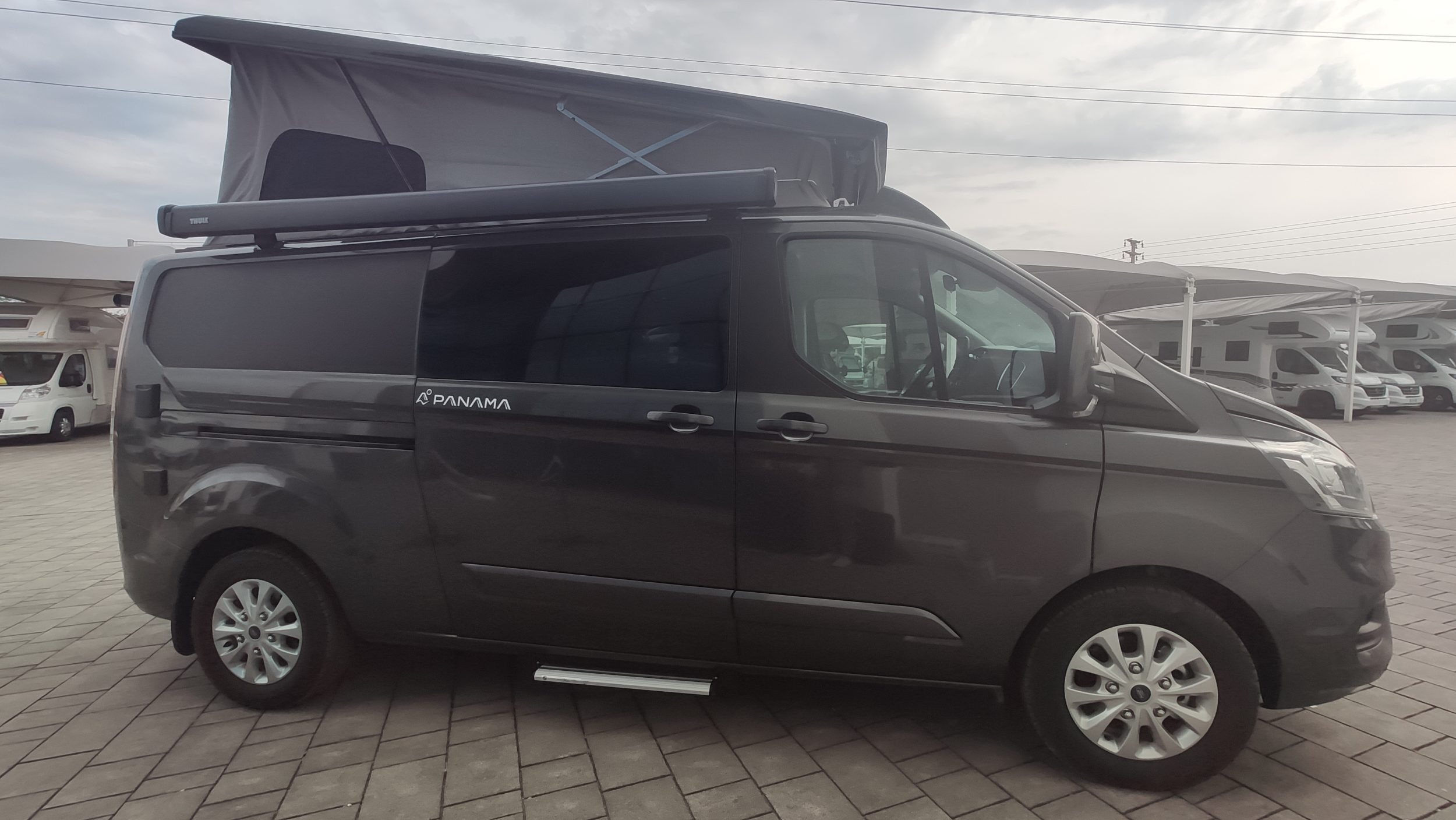 Panama P 54+